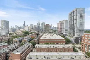 320 E 21st St, Chicago, IL 60616 - Photo 20