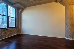 320 E 21st St, Chicago, IL 60616 - Photo 6