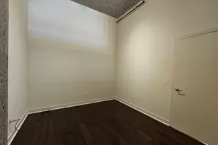 320 E 21st St, Chicago, IL 60616 - Photo 12