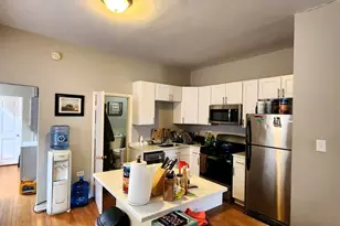 973 W 19th St, Chicago, IL 60608 - Photo 2