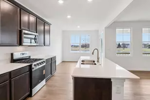 284 Snowdrop Ln, Elgin, IL 60124 - Photo 6