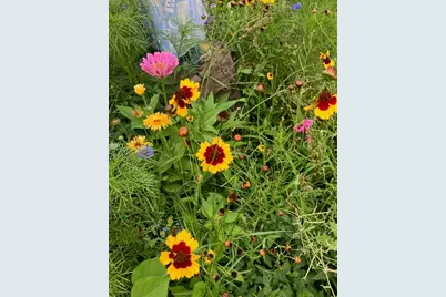 249 N Craig Place, Lombard, IL 60148 - Photo 28