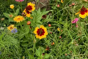 249 N Craig Pl, Lombard, IL 60148 - Photo 28