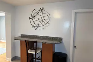 5049 N Oak Park Ave, Chicago, IL 60656 - Photo 8