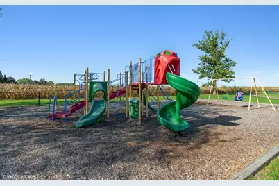 46W524 Locust Street, Elburn, IL 60119 - Photo 28