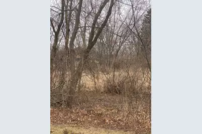 21177 N Valley Road, Kildeer, IL 60047 - Photo 1