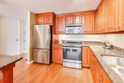 360 E Randolph Street #1007, Chicago, IL 60601 - Photo 10
