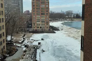 7337 S South Shore Dr, Chicago, IL 60649 - Photo 8