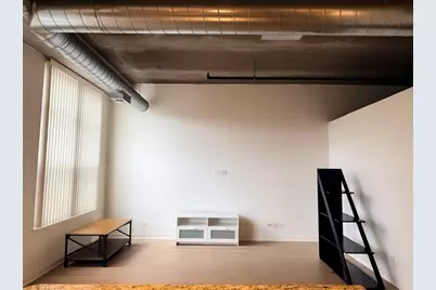 833 W 15th Place #314, Chicago, IL 60608 - Photo 4