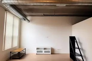 833 W 15th Pl, Chicago, IL 60608 - Photo 4