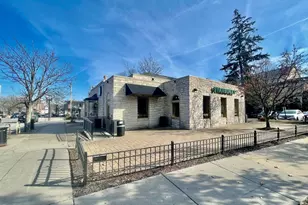 1039 W 103rd St, Chicago, IL 60643 - Photo 46