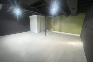 1039 W 103rd St, Chicago, IL 60643 - Photo 26