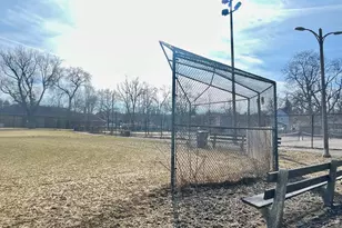 1039 W 103rd St, Chicago, IL 60643 - Photo 40