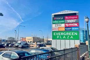 1039 W 103rd St, Chicago, IL 60643 - Photo 64