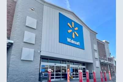 1039 W 103rd Street, Chicago, IL 60643 - Photo 66