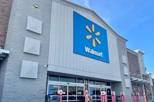 1039 W 103rd St, Chicago, IL 60643 - Photo 66