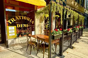 1720 Maple Ave, Evanston, IL 60201 - Photo 50