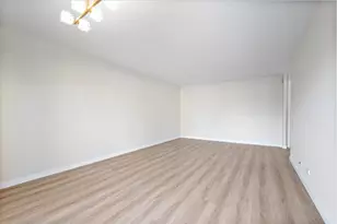 6933 N Kedzie Ave, Chicago, IL 60645 - Photo 4