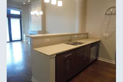 1111 W 15th Street #110, Chicago, IL 60608 - Photo 14