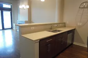 1111 W 15th St, Chicago, IL 60608 - Photo 14