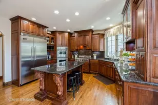 6100 Timber Ridge Ct, Indian Head Park, IL 60525 - Photo 16