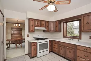 6503 Tustamena Trail, McHenry, IL 60050 - Photo 10