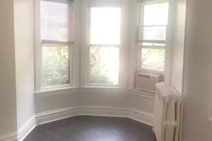 227 N Marion St, Oak Park, IL 60302 - Photo 6