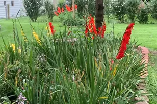 10N836 Maple St, Elgin, IL 60123 - Photo 36