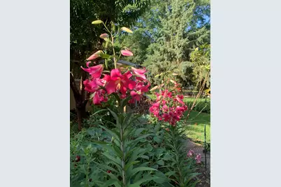 10N836 Maple Street, Elgin, IL 60123 - Photo 34