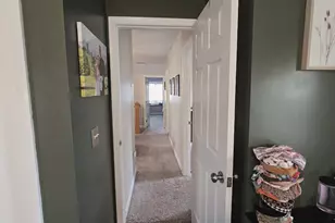 311 S 3rd St, Peotone, IL 60468 - Photo 28