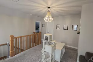 311 S 3rd St, Peotone, IL 60468 - Photo 18