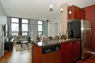 1255 S State St, Chicago, IL 60605 - Photo 4