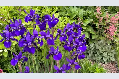 2713 Forest Glen Parkway, Woodridge, IL 60517 - Photo 32