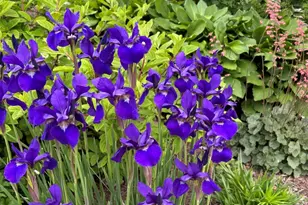 2713 Forest Glen Pkwy, Woodridge, IL 60517 - Photo 32