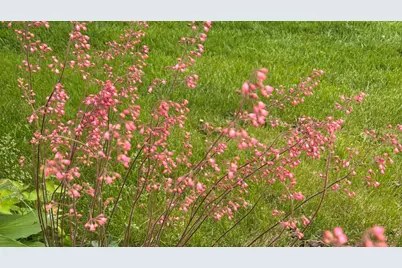 2713 Forest Glen Parkway, Woodridge, IL 60517 - Photo 34