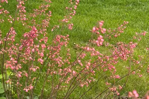 2713 Forest Glen Pkwy, Woodridge, IL 60517 - Photo 34