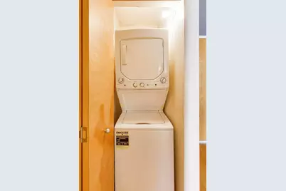 1601 S Michigan Avenue #304, Chicago, IL 60616 - Photo 20