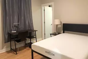 1017 S Claremont Ave, Chicago, IL 60612 - Photo 10