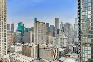 2 E Erie St, Chicago, IL 60611 - Photo 6