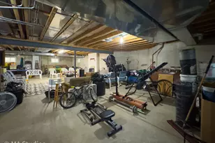 9030 Elm Ave, Burr Ridge, IL 60527 - Photo 52