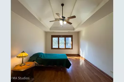 9030 Elm Avenue, Burr Ridge, IL 60527 - Photo 42