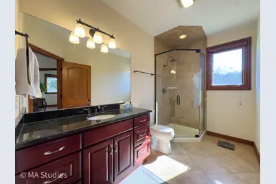 9030 Elm Avenue, Burr Ridge, IL 60527 - Photo 26