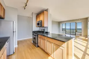 1717 S Prairie Ave, Chicago, IL 60616 - Photo 10