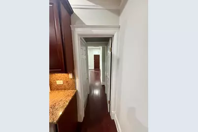 12 W Chestnut Street #3, Chicago, IL 60610 - Photo 12