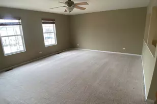 24951 Clare Cir, Manhattan, IL 60442 - Photo 20