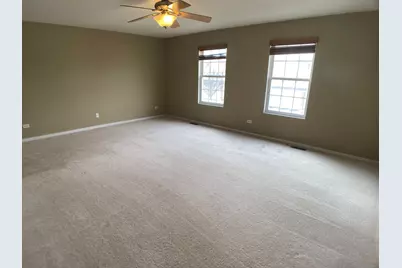 24951 Clare Circle, Manhattan, IL 60442 - Photo 22