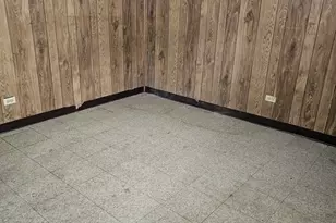 9117 S Wallace St, Chicago, IL 60620 - Photo 12