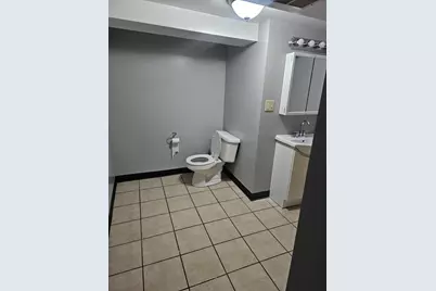 9117 S Wallace Street, Chicago, IL 60620 - Photo 14