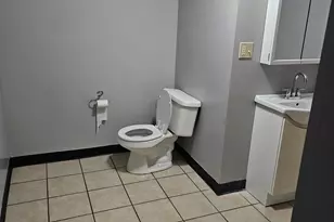 9117 S Wallace St, Chicago, IL 60620 - Photo 14