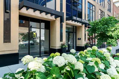 101 W Superior Street #905, Chicago, IL 60654 - Photo 2
